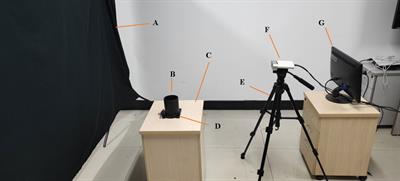 A fast phenotype approach of 3D point clouds of Pinus massoniana seedlings